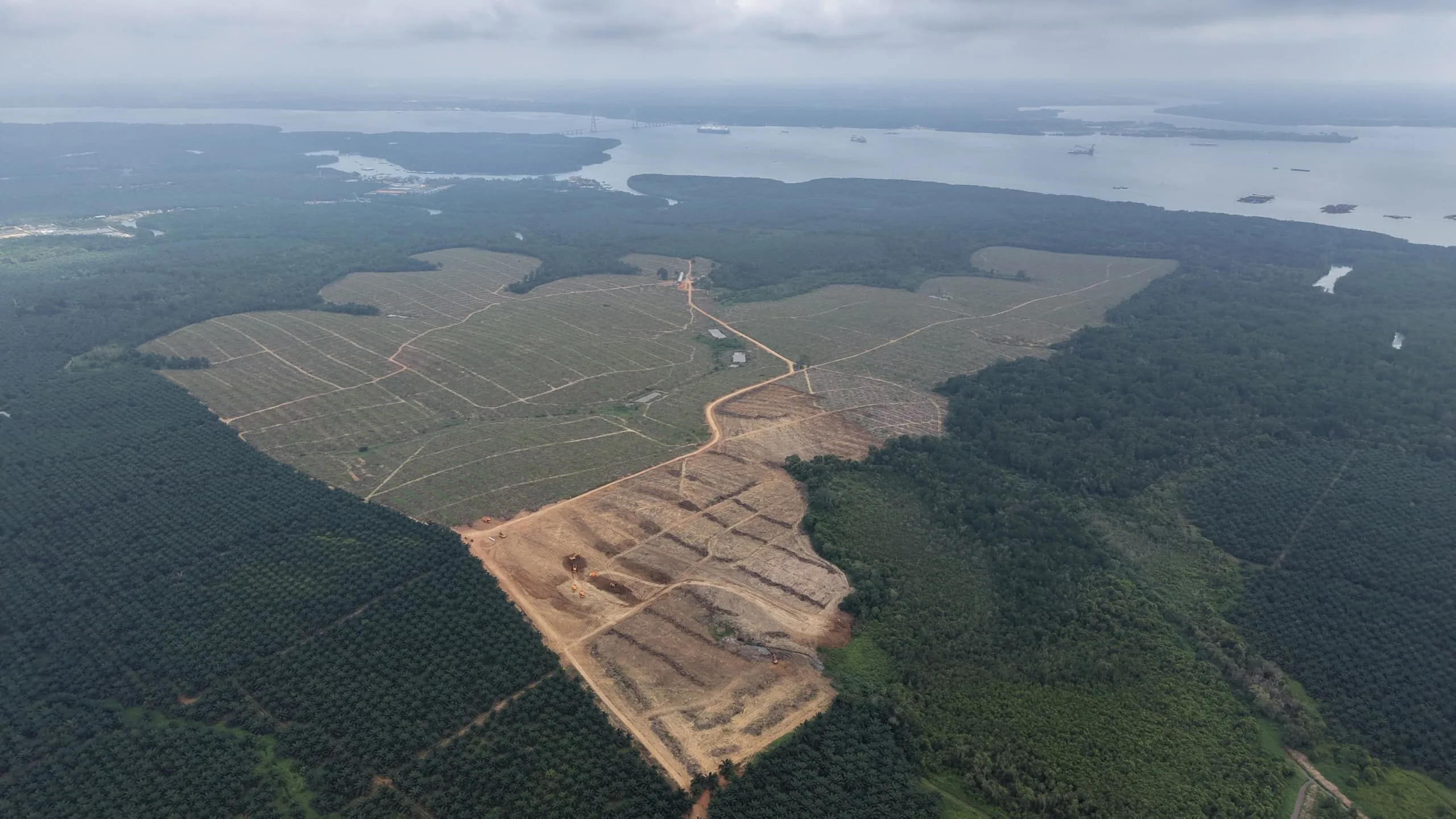 Alpha Austin Industrial Park early construction works photograph dated 2 January 2026, Tanjung Langsat, Johor