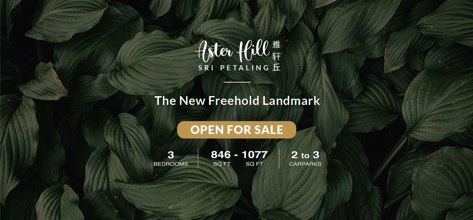 Aster Hill Sri Petaling，斯里白沙罗，吉隆坡
