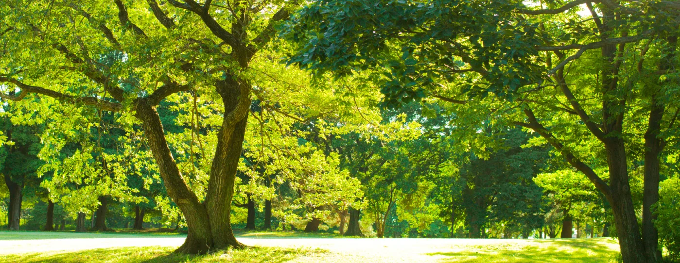 Hill Park hiking trails at Platinum Premium Suites @ HCK Tower by HCK Capital Group, Empire City, Damansara Perdana, Petaling Jaya, Selangor