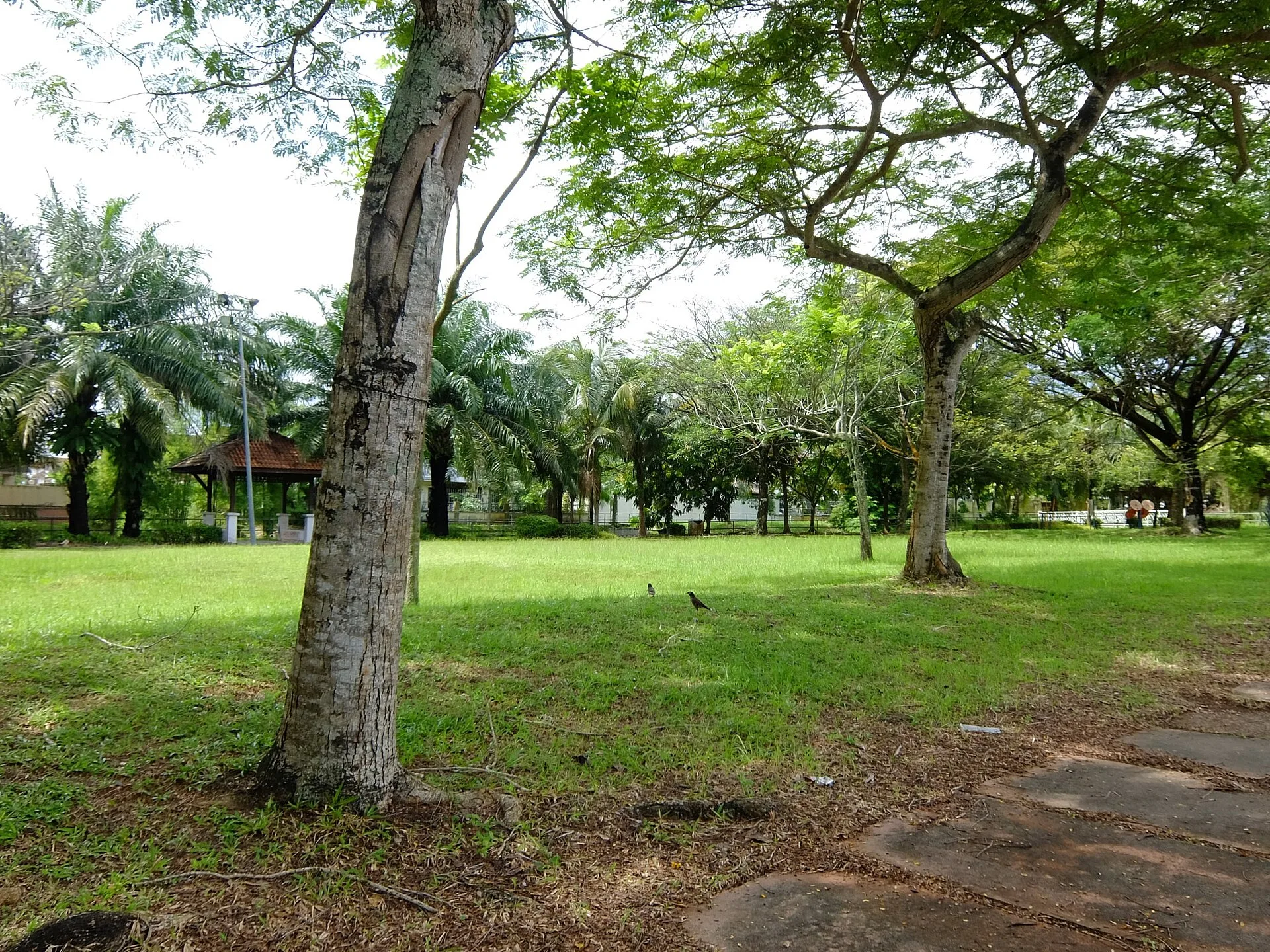 Austin Perdana Park, Johor Bahru
